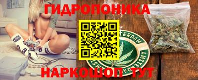 Альфа ПВП Рузаевка