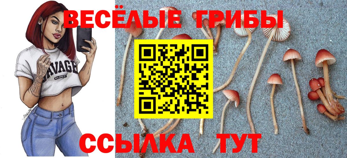 Псилоцибиновые грибы Magic Shrooms Ревда